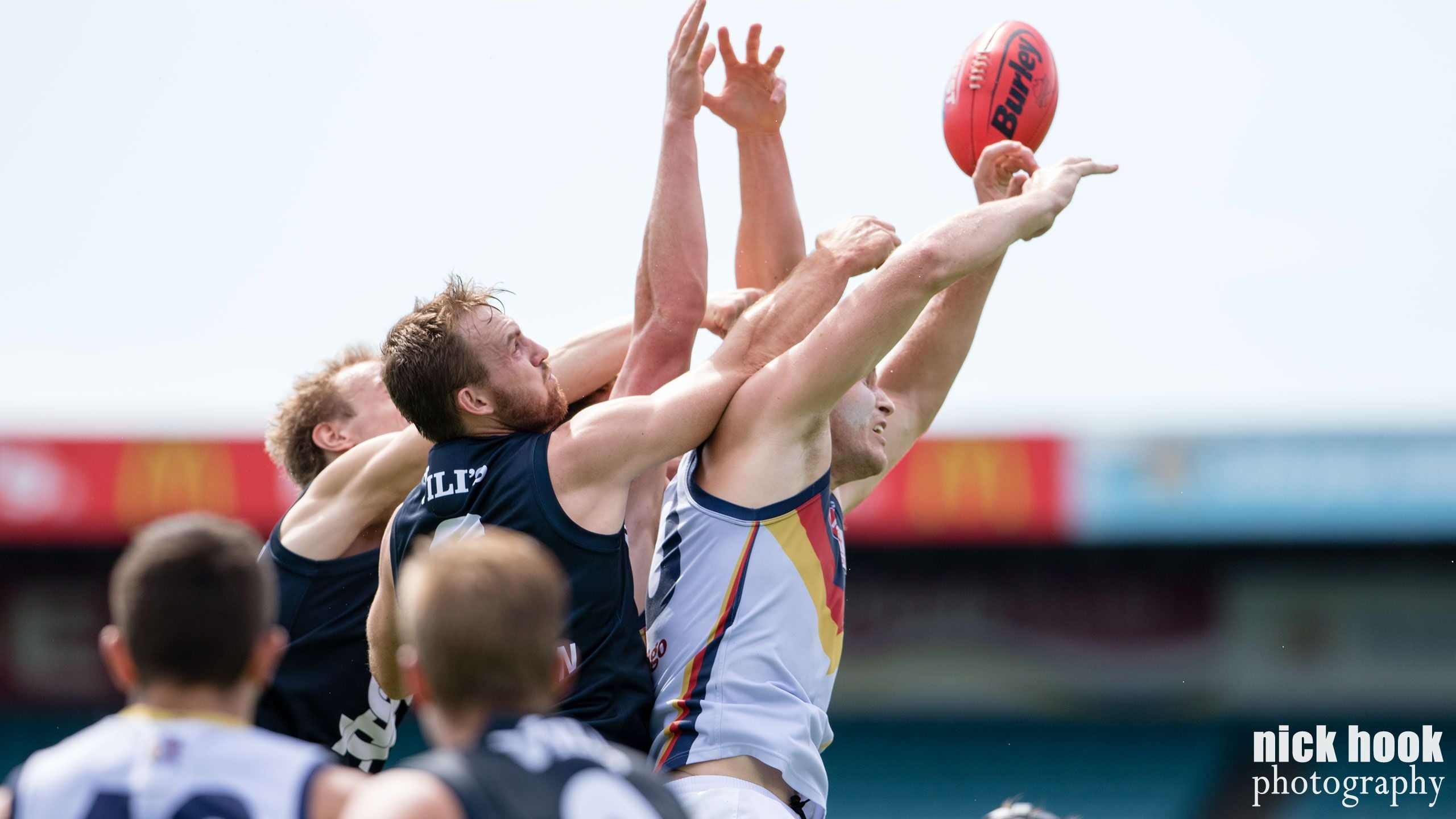 Brad Crabb 150 Games Image -572998fe5eb86